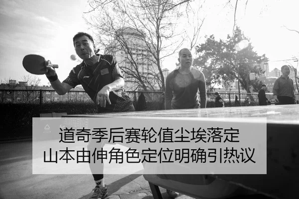 dao-qi-ji-hou-sai-lun-zhi-chen-ai-luo-ding-shan-ben-you-shen-jue-se-ding-wei-ming-que-yin-re-yi-2-341.jpg